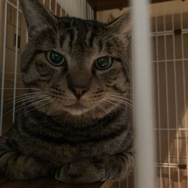 B13c5501 db89 47e5 8eac 3114126d23da 1663337615402