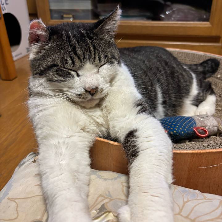 B13c95bc a479 4f6c a0cc 003f696ce626 1745572396777