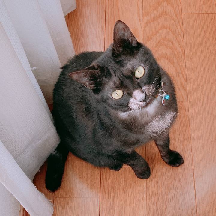 B13cc395 416d 41e0 89c7 b0c6c989bebe 1554255865223