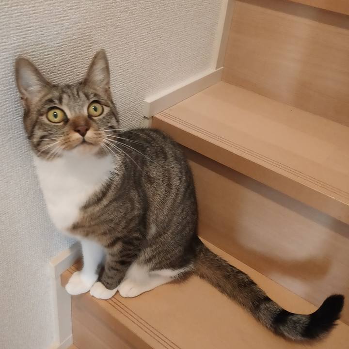 B13d25e8 1f19 421a afc0 af6985876031 1677631136517