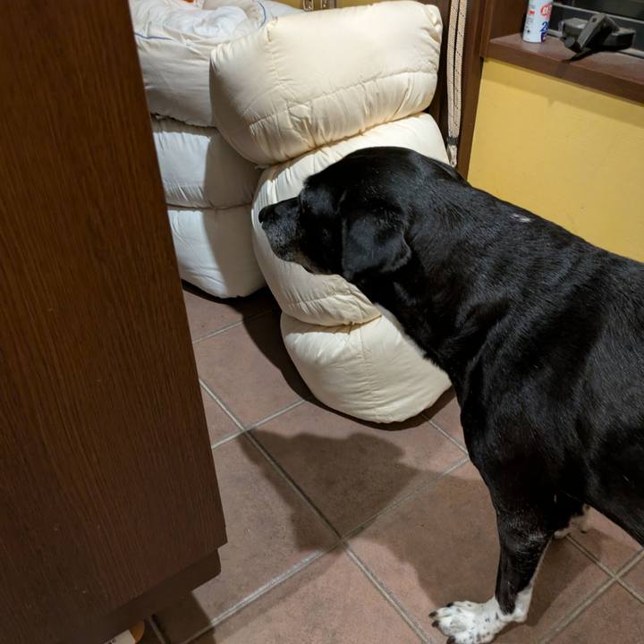 B13d36bc cd0a 4992 b146 1720e8a57904 1762081749098