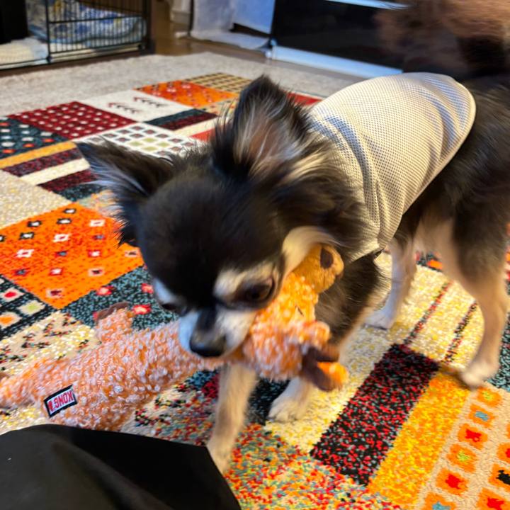 B13d55d1 0b23 456a 8ee8 1d2e0b38f18f 1722095419322