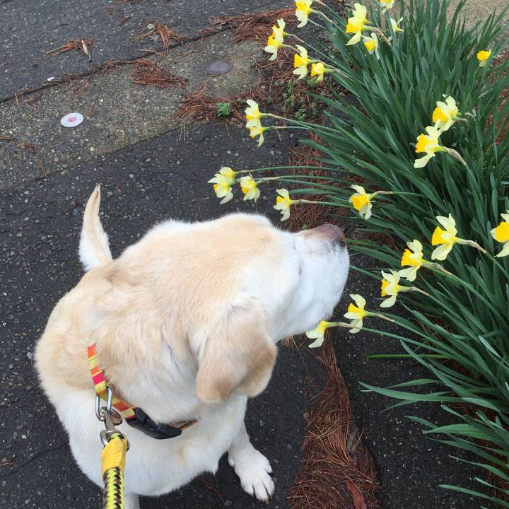 B13d791c 3b6e 42a3 9eac 952497fb6d22 1523773222546