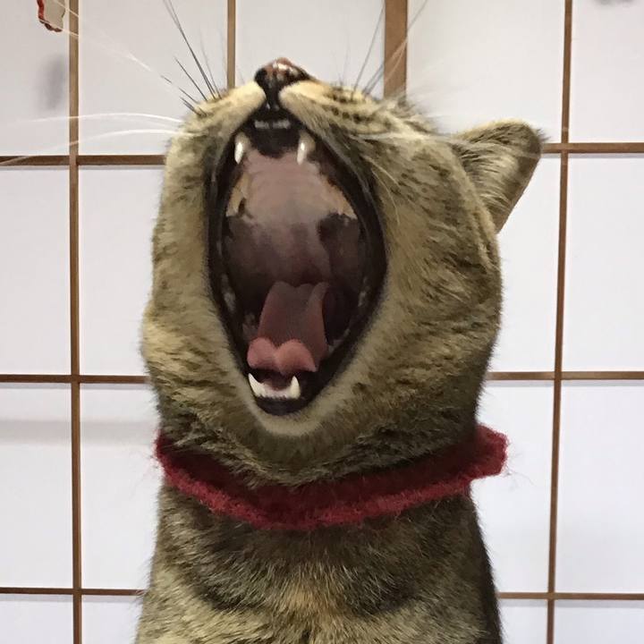 B13db2c8 b6dc 488c a6df a434b890ef35 1611802301801