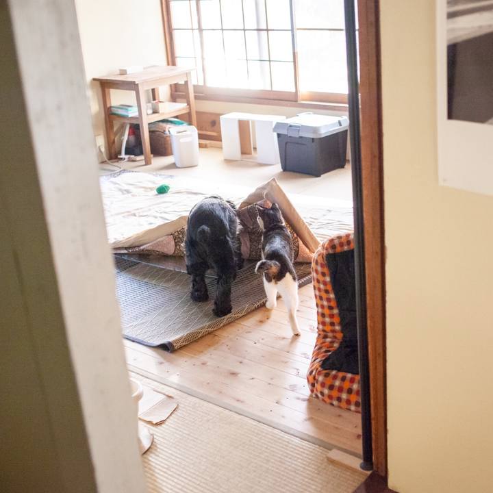 B13dba8d 01d0 4de1 994a 45183fb55774 1558627964516