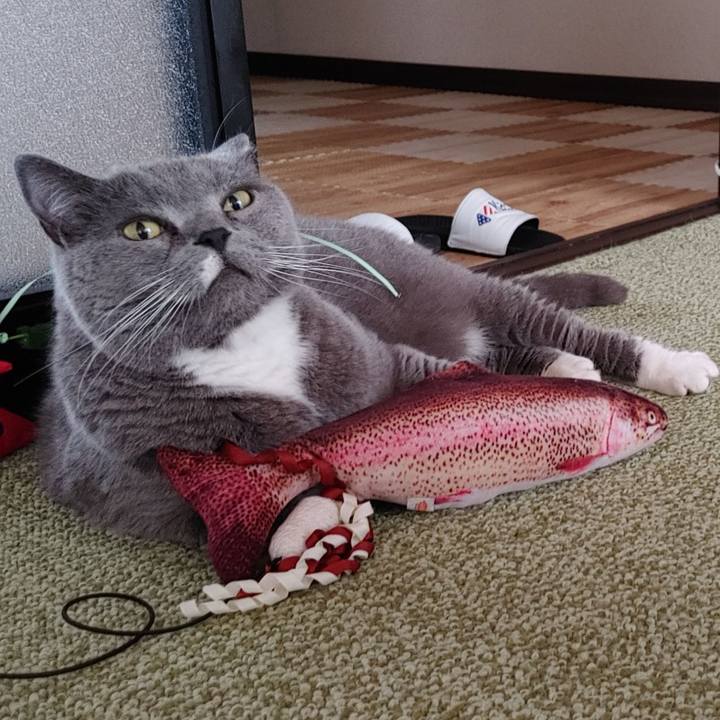 B13ddc85 ffb9 4e42 88b5 da1e758d6e03 1682814240182