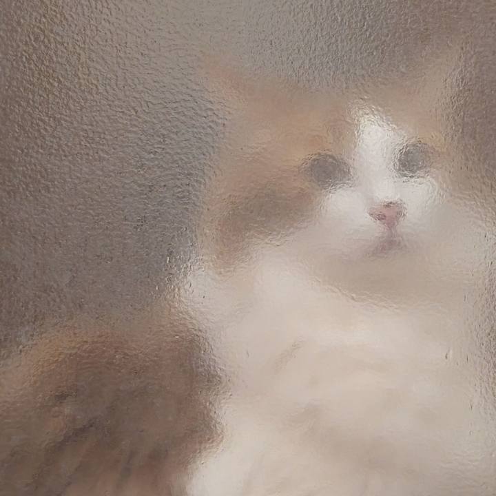 B13ddd46 01ae 4e4d 997c b0c7505c197e 1737210701963