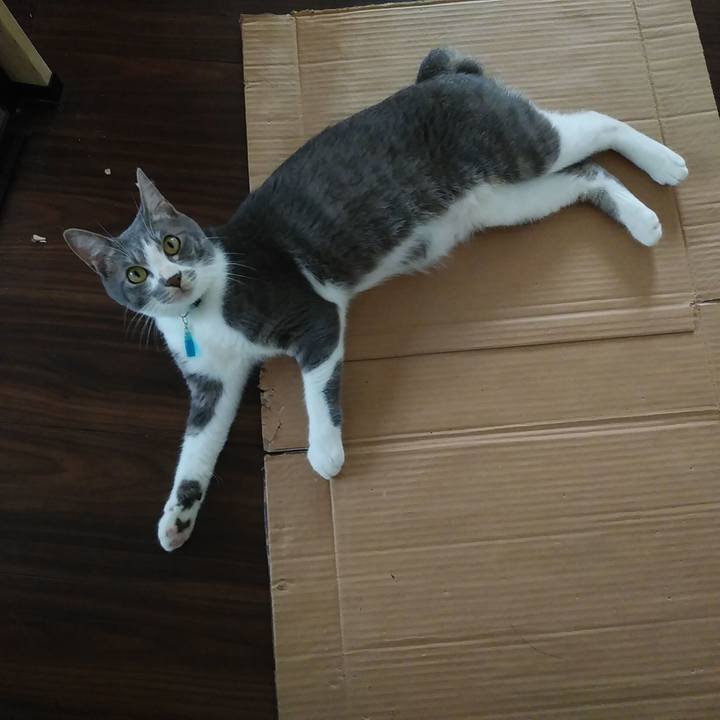 B13df517 8bb8 4ccf 943f da75a1a99853 1593482598912