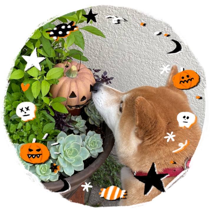 B13df7ae 5027 4276 afe8 e7e4857573d0 1604147557789