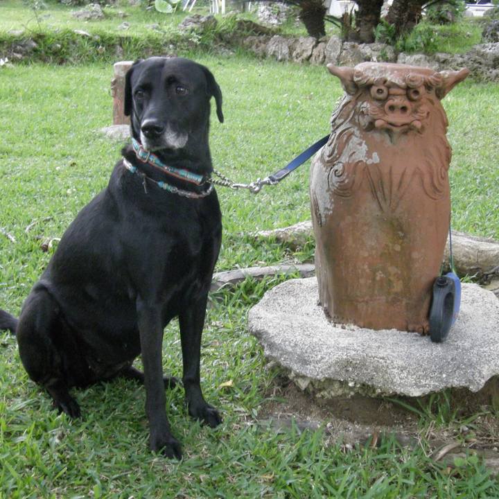 B13e293b c188 4543 ba71 1e171cce174d 1528717496331