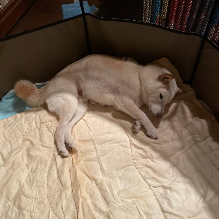 B13e65fb 5abc 4889 a2e3 0cb3e922216b 1646206068784