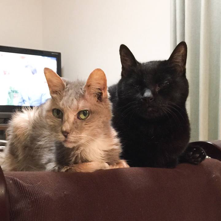 B13ec61d c02a 49f7 ba82 60f6b610af7c 1523366966376