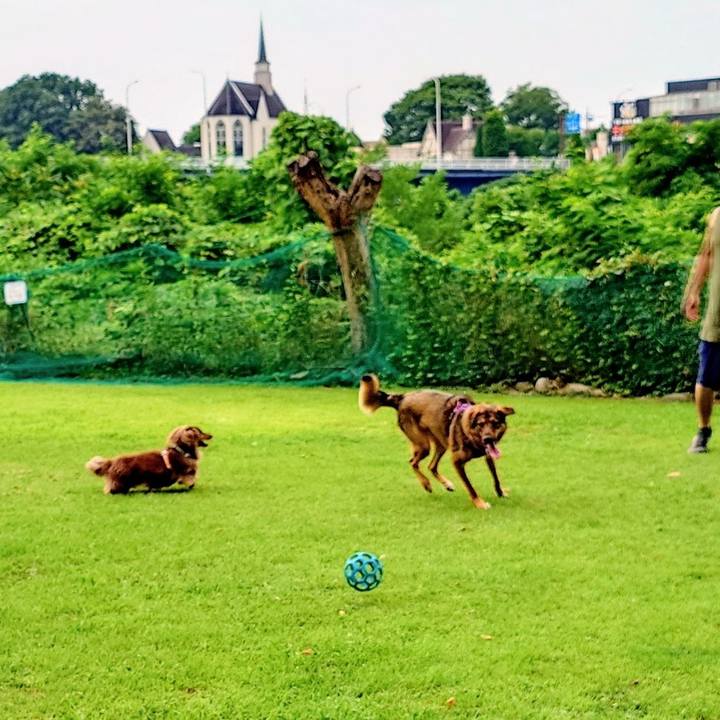 B13ec8f4 fc6e 490f b185 40998b82d2d8 1751680730266