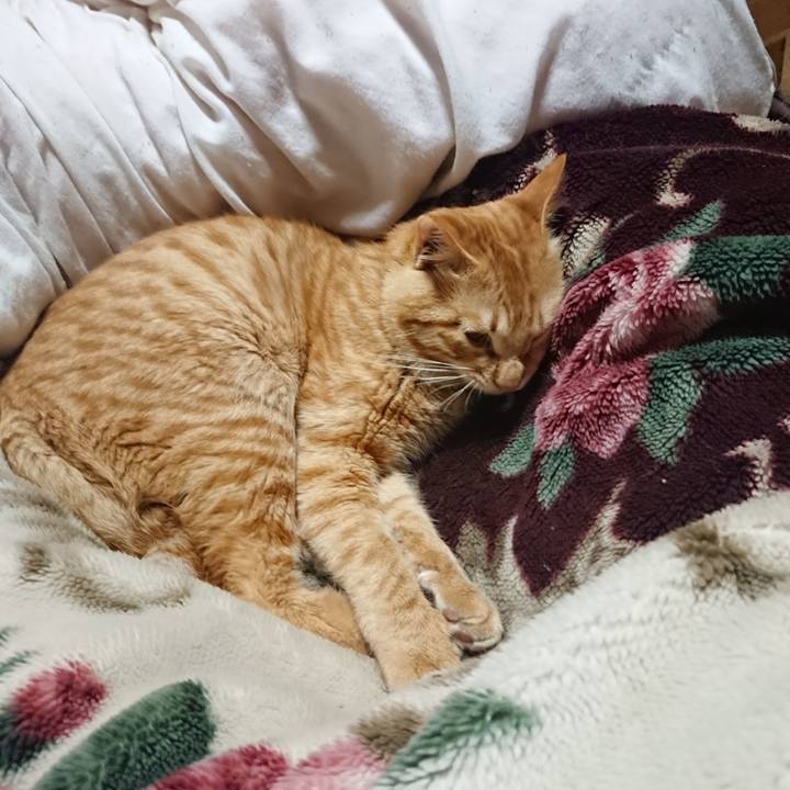 B13ee693 a19e 4495 8839 12da44352636 1647175375103