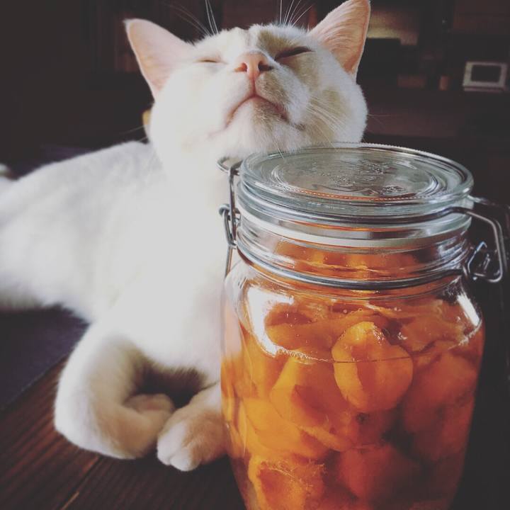 B13efe0f 3a91 4411 9fca dd83dfb7931d 1530665184279