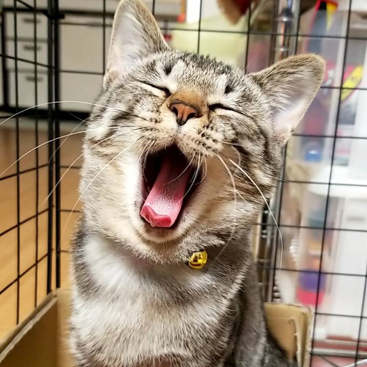 B13f0c2d 1081 4e85 946b f2cdf686c3cb 1669041872657