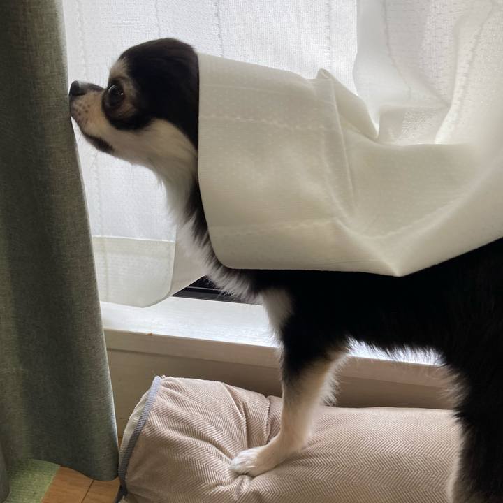 B13f1d64 95d3 403e 82ae b464b7d68525 1628479936818