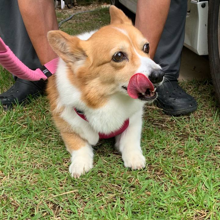 B13f1d67 c429 4b96 b358 369b88f5eff7 1686293262388