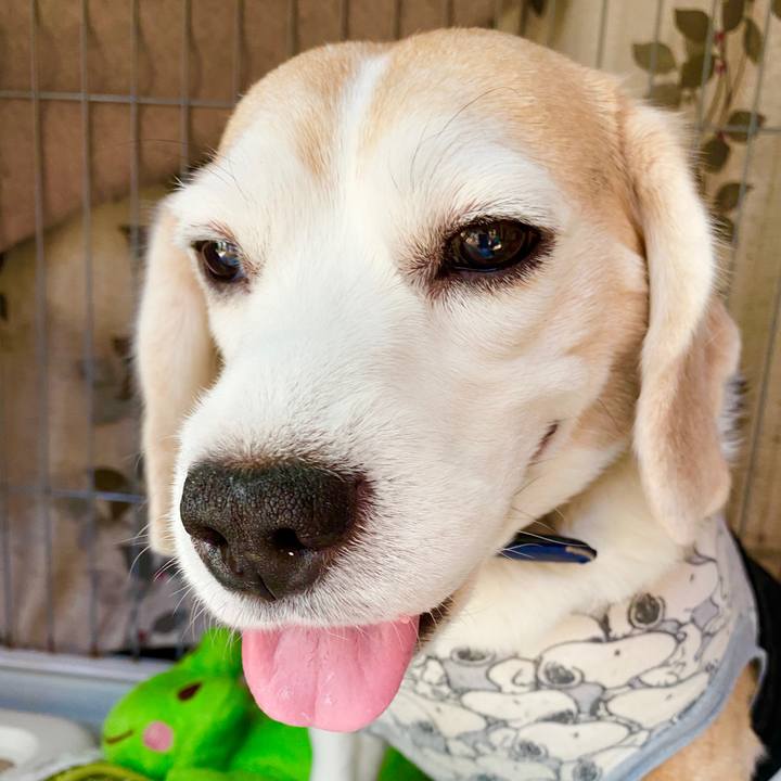 B13f2c38 e645 40d6 8fc0 99a49d7ff18d 1590556087829