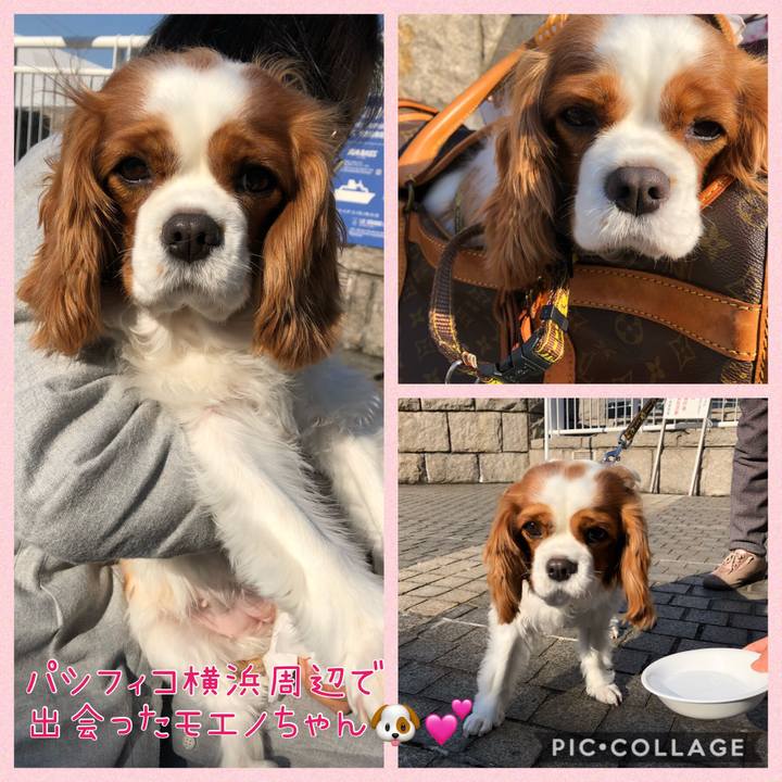 B13f2c74 ac3f 4065 ab3a fb185c19ac0b 1578892538231