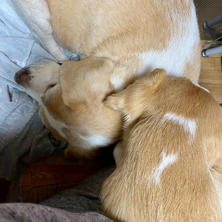 B13f3460 2a9b 4d05 bbd1 fe92e93902e3 1582290308255