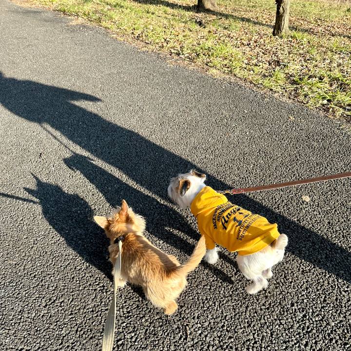 B13fb703 5567 40f8 b1a0 d338afa57b2f 1707571652086