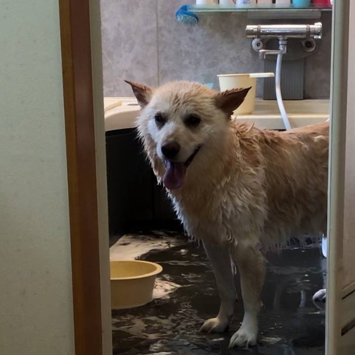 B13ffbbf fc62 4ec3 a887 f147ad820b99 1551320718552