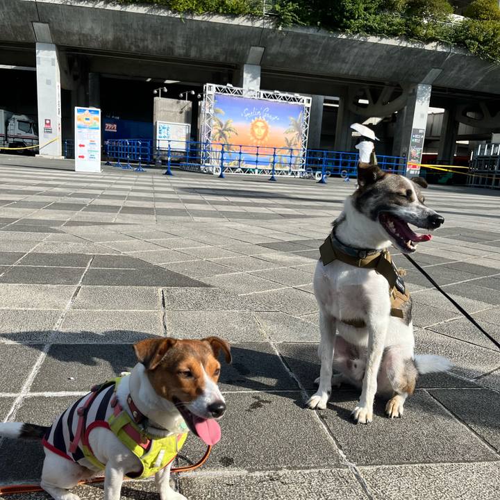 B1407952 4afa 4a87 8498 28ea13f9b12b 1724459437484