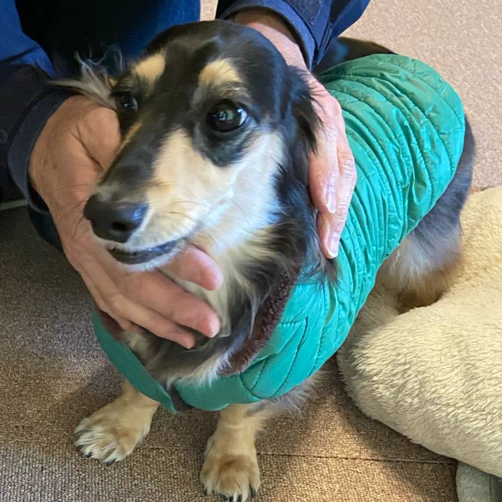 B1407b84 619a 4f3c b28c ae41327df2ad 1762400622343