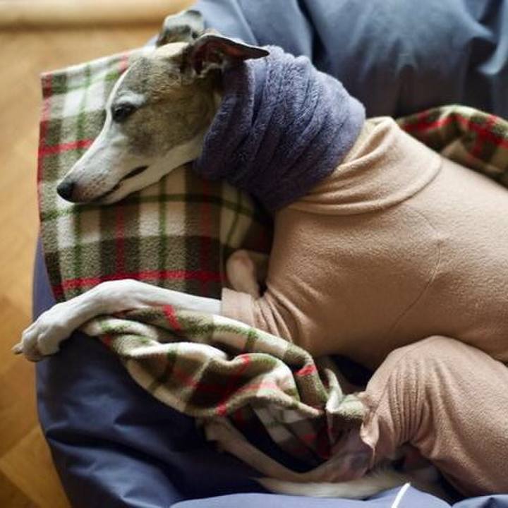 B1407c89 85b5 4946 bdc5 ee16c4b4ae7f 1510564795955