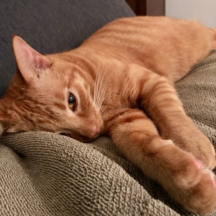 B140900e b4bd 4452 a97e 87b864bba084 1605922446486