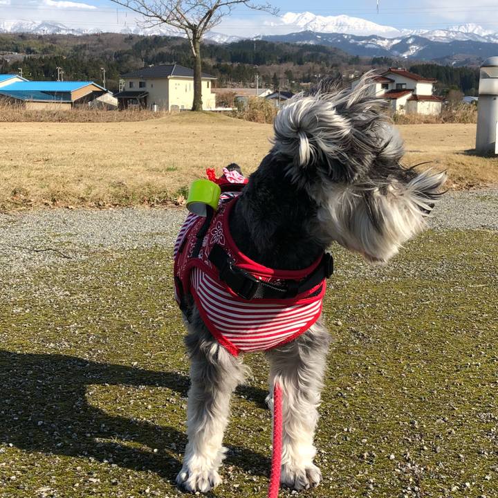 B140a4ce 8e68 4646 847a 19f1cc842b2b 1521277985942