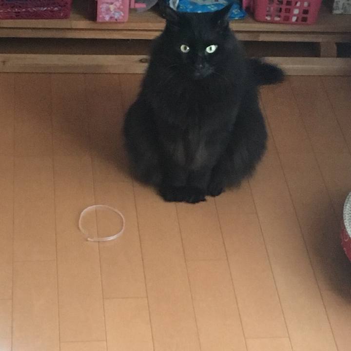 B140b03a bffe 49d1 a7a0 32f738ea22b2 1573299623203