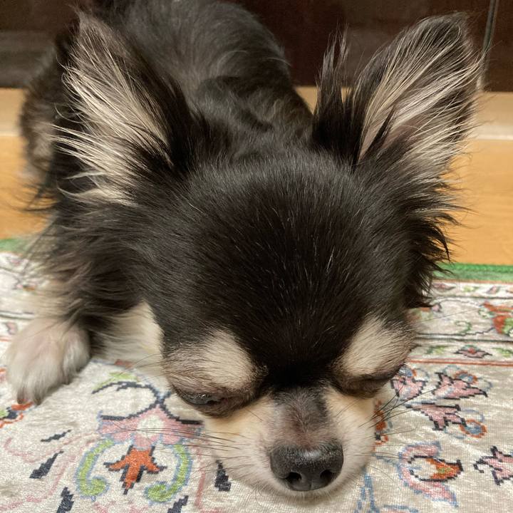 B140da68 1ca0 45ac b2d9 a5d4052da28e 1663421903337