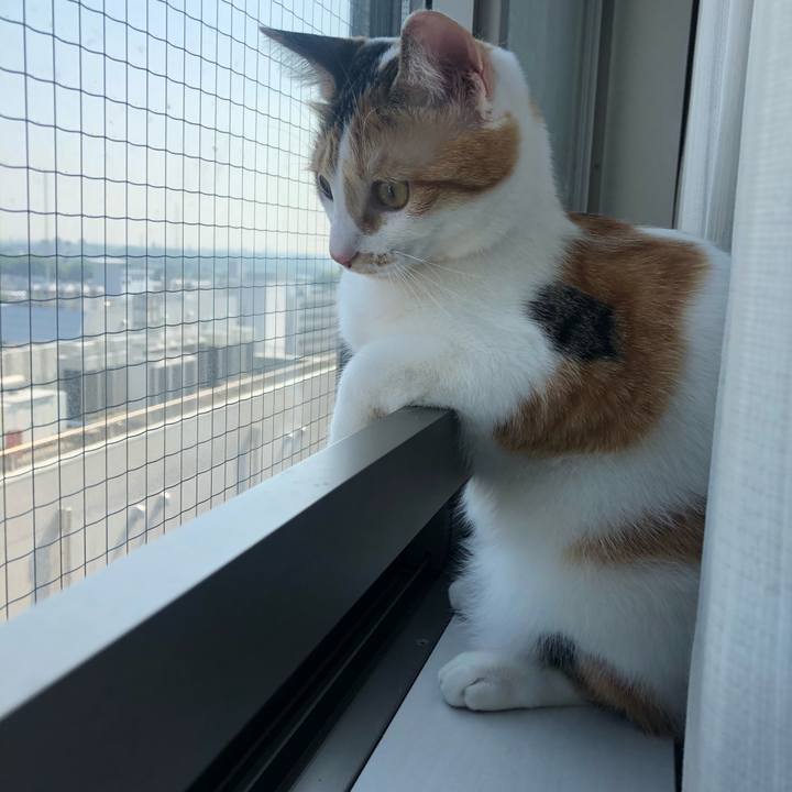 B140dea5 5f3c 44d0 a201 e174ddac7f8e 1591745691676