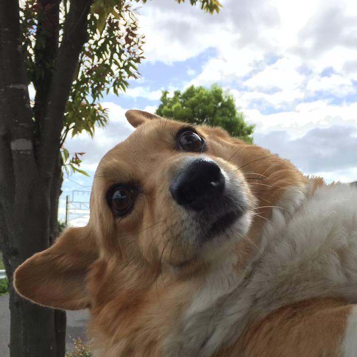 B1412c24 3fc9 4b65 9bb6 aecc587429c5 1508129313634