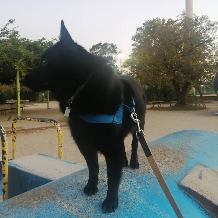 B1413ba4 51b1 44c4 950c 46c624fbf7f4 1633467227086