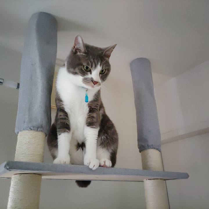 B141cb84 e018 4916 a1ef dba3d5bfdb95 1654689252154