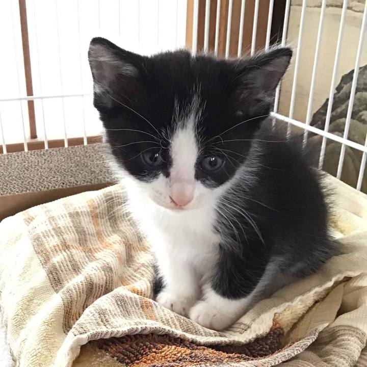 B141e4c4 84d5 4764 8cbc 680e70727031 1622438665662