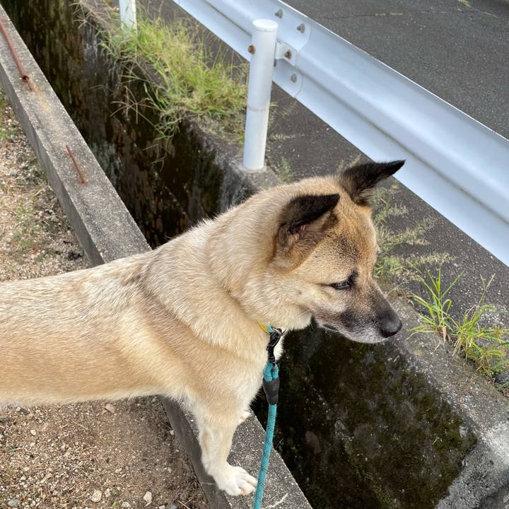 B141f289 61a9 40bc 8dc9 0bae7c822c5e 1692881381880