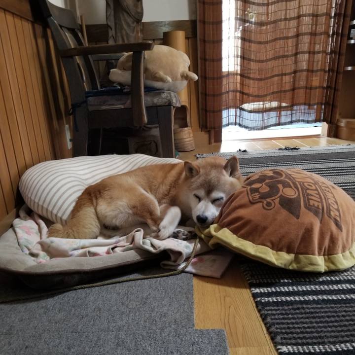 B1420759 7497 4ab4 a6c0 b6244bf6be59 1722306398229