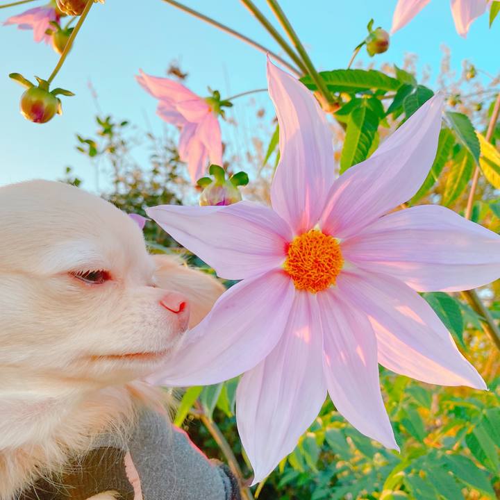 B1420779 489d 4fa5 a16b 9c40ec4dd3cf 1637926291723