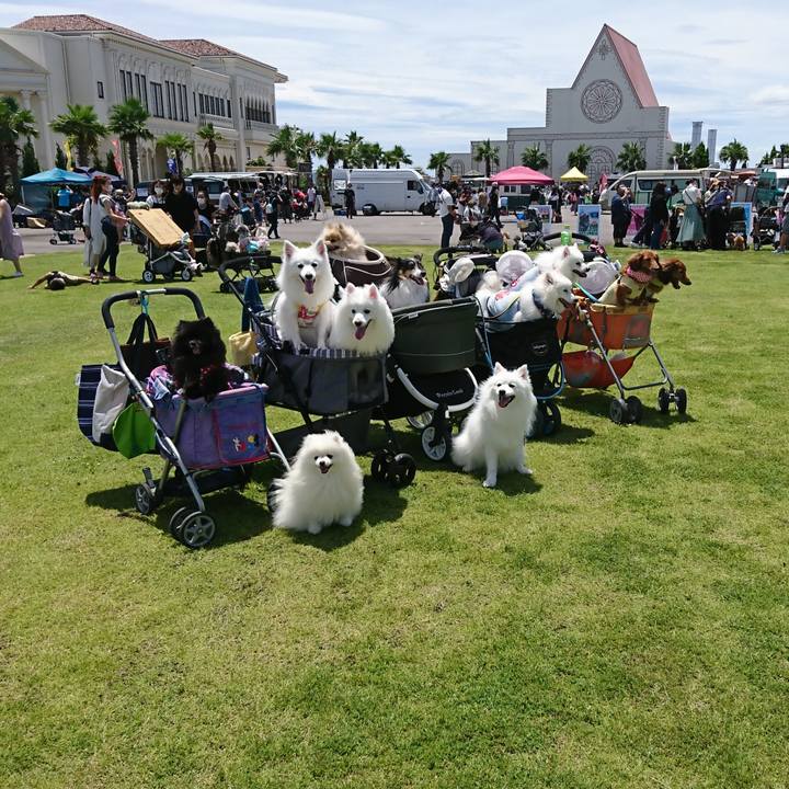 B1423b60 6f05 4a4d 92ca c4f1ab68cbad 1594528878367