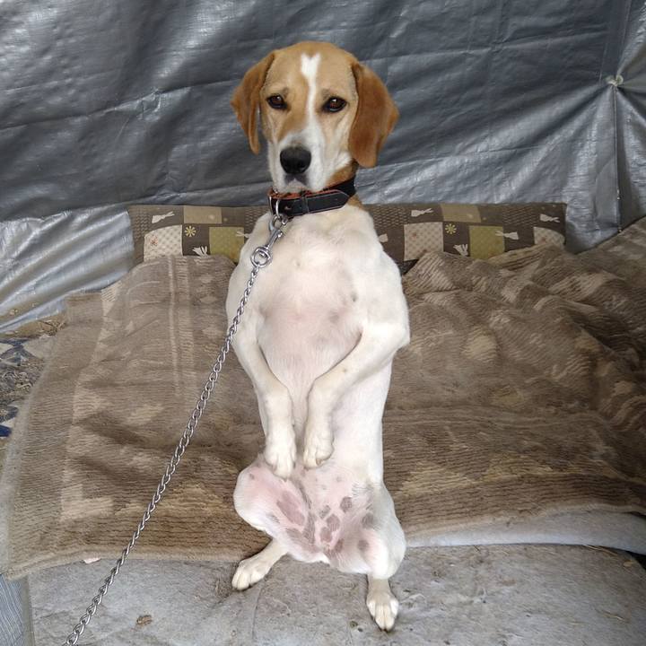 B1428ecf 9d53 4ec3 a455 c1a7cf32b28d 1624860291864