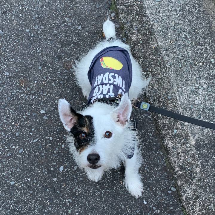 B14295c1 98b4 462e 850c 88a7a76915f7 1666079645122