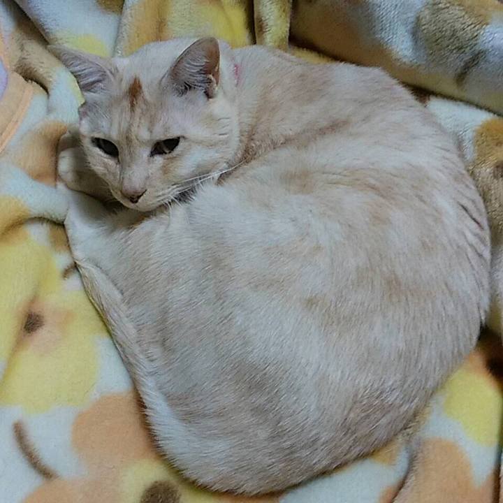 B142b378 c2b2 4c56 a059 63977d0482df 1573303409495