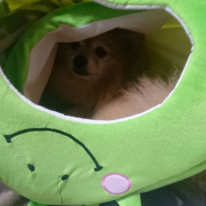 B142cf13 5b3f 4317 ac88 b1d6a2a7808d 1546866248519