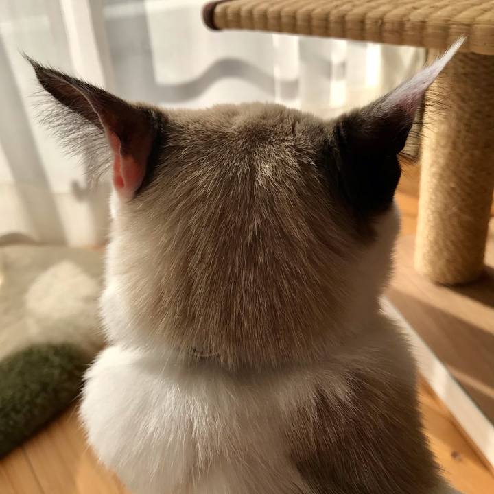 B1430cf2 0b98 41ce b443 607670994b37 1608425307304