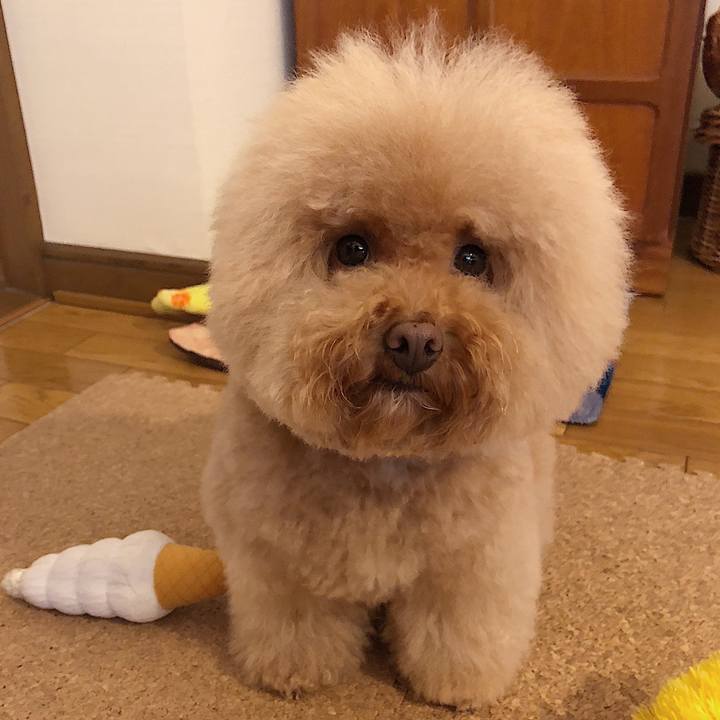 B1430dbf f93c 41ed 820c 42f4cde67baa 1540804799487