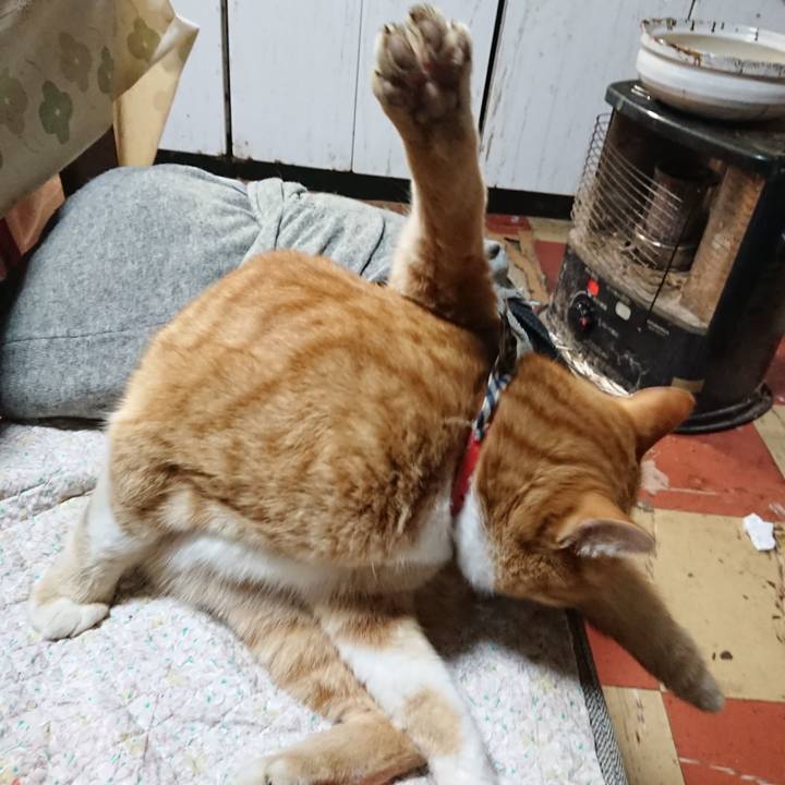 B14315c8 31ce 4dd3 8068 52da249d9123 1574891713079